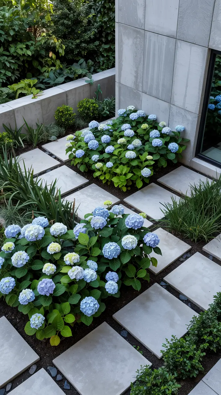 Hydrangea Garden Design 2026: Modern & Cottage Inspiration