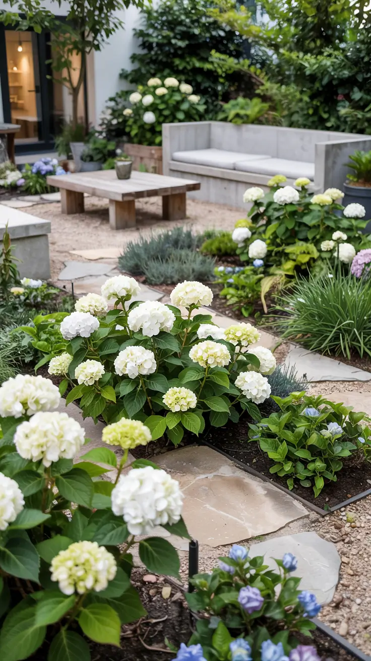 Hydrangea Garden Design 2026: Modern & Cottage Inspiration